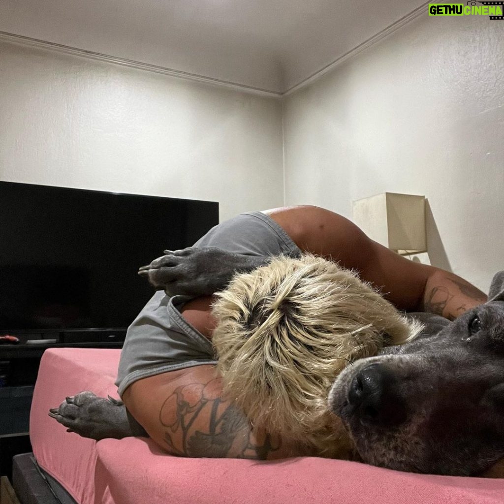 Christian Navarro Instagram - Nothing to see here just a good pup cuddling her daddy. Los Angeles, California