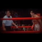Christian Vieri Instagram - RIP Apollo 🥊🥊🥊