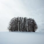 Chutavuth Pattarakampol Instagram – ของจริงงามกว่านี้มาก…เก็บมาผ่านกล้องได้เท่านี้ ❄️🌲🗻🥰📷 Hokkaido Japan