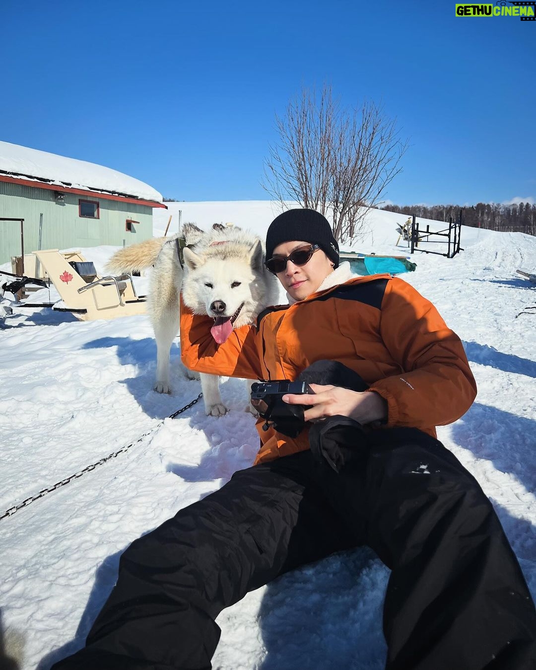 Chutavuth Pattarakampol Instagram - กอดแล้วอุ๊น อุ่นน 🥰😚 ムーンライトレディース* Moonlight Ladies Dog Sledding Team