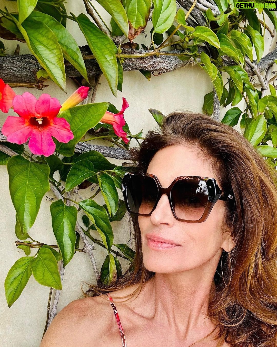 Cindy Crawford Instagram - Ready for a long weekend 🌺 @yaleaeyewear