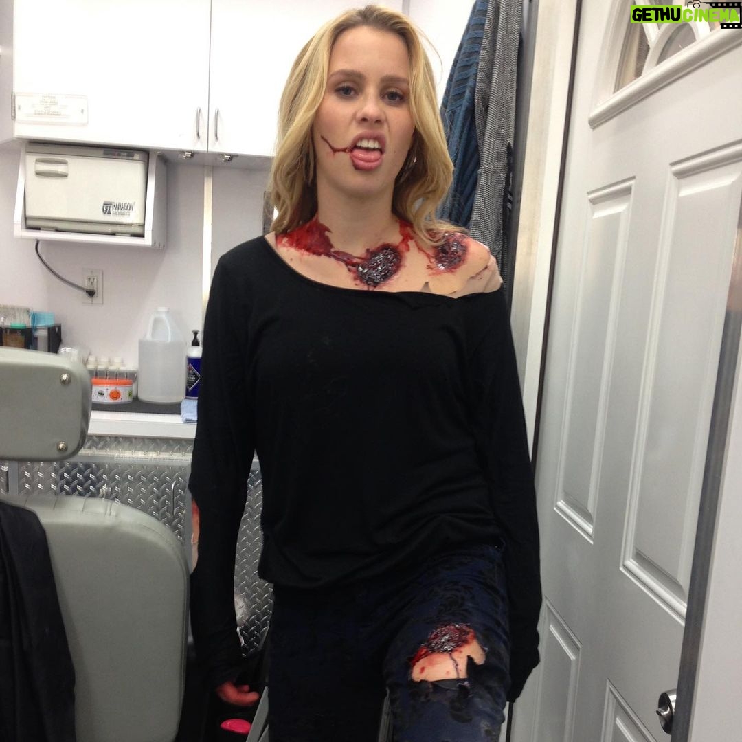 Claire Holt - 1.4 Million Likes - Found these in the basement