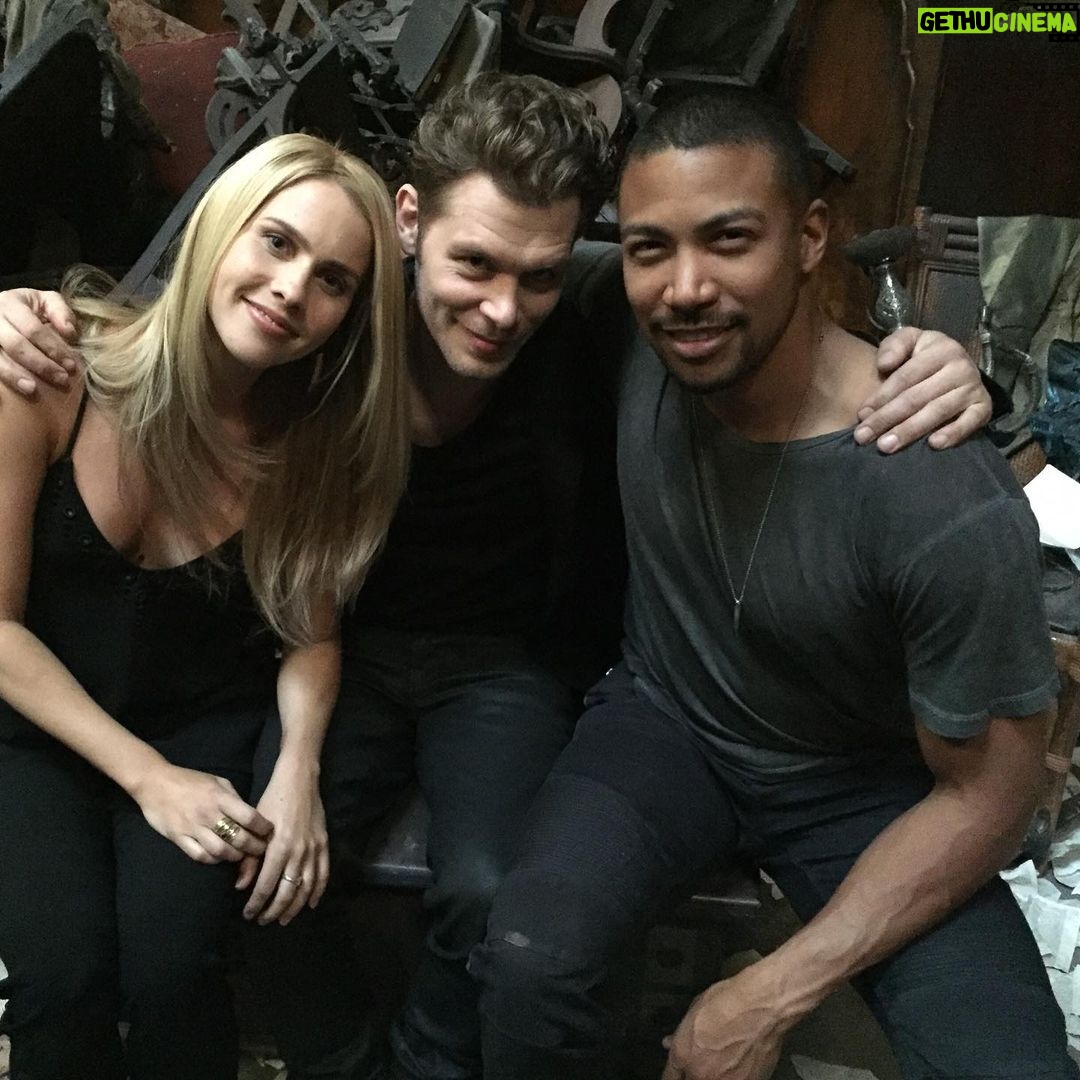 Claire Holt - 1.4 Million Likes - Found these in the basement