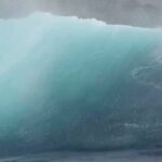 Clark Gregg Instagram – Repost • @complex Sea Lions riding the wave. 🦭🌊 [via @pacificoffshore & @lawofthelandnsea]