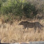 Clark Gregg Instagram - Breath taken. #krugernationalpark #africa with SFG @sabisabireserve