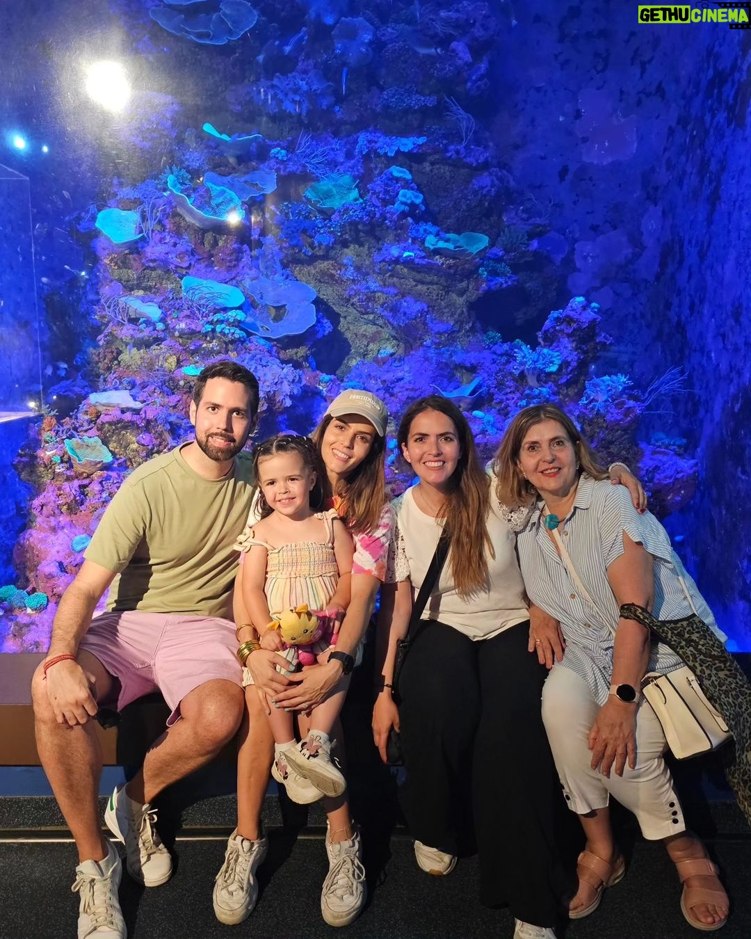 Claudia Álvarez Instagram - Family Trip 💖 Han sido días hermosos, de acoplarnos al horario, de comer deli y mucho, viendo otras culturas!!!! Amo viajar y más en familia xq nos une y nos crea recuerdos para toda la vida!!!! Son los mejores organizadores d viajes @palatinetravellive @vickyalvarezo Para los que quieran recomendaciones d hotel éstos primeros días nos quedamos en el @fssingapore el cuarto es hermoso y el buffet de lo mejor q hay!!!! En éstas fotos estamos en los estudios universal, en India y China town Four Seasons Hotel Singapore