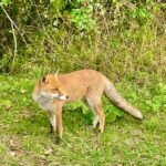 Claudia Gerini Instagram – Una escursione in montagna su Zingaro Parco nazionale d’Abruzzo, Lazio e Molise