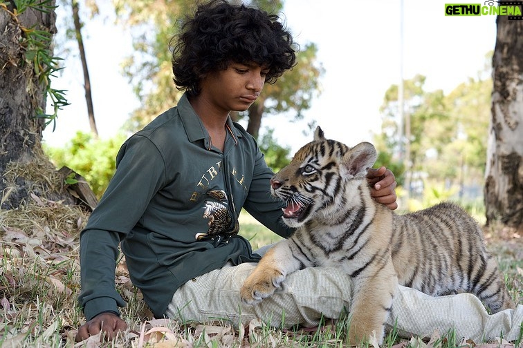 Claudia Gerini Instagram - Il Ragazzo e la Tigre 🐅 da stasera al cinema #medusafilm #sunnypawar #ilragazzoelatigre #brandoquilici #tigersnest Nepal