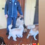 Claudia Gerini Instagram - Ciao zio Titti😍❤️fai buon viaggio 🙏mi hai fatto tanto ridere e divertire … da bambina e anche da grande. Ti voglio tanto bene