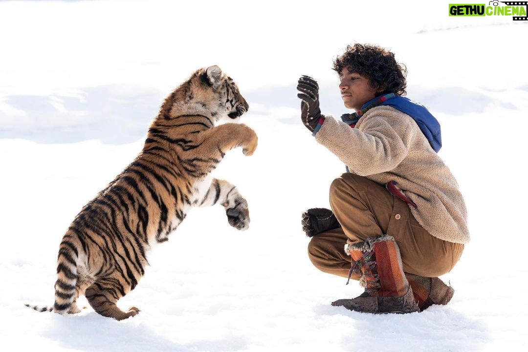 Claudia Gerini Instagram - Il Ragazzo e la Tigre 🐅 da stasera al cinema #medusafilm #sunnypawar #ilragazzoelatigre #brandoquilici #tigersnest Nepal
