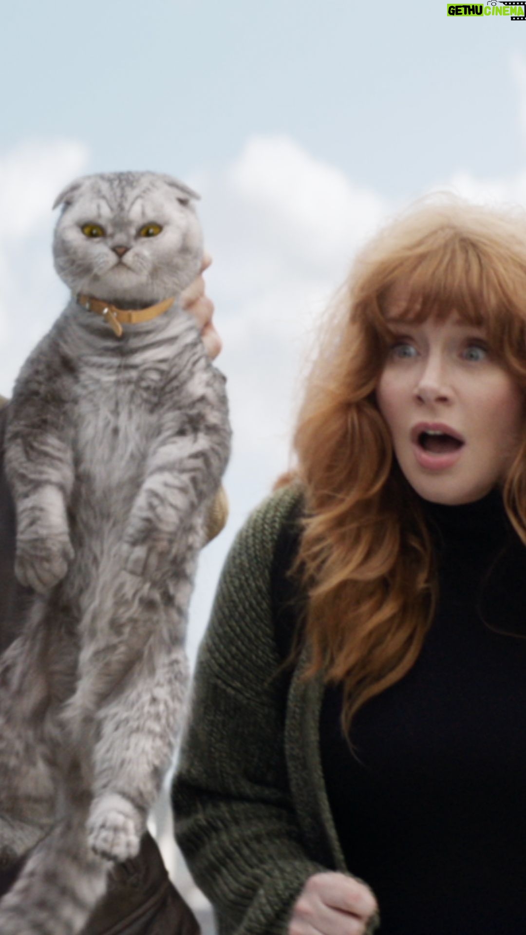 Claudia Schiffer Instagram - You know what they say about curiosity and cats… #ArgylleMovie
