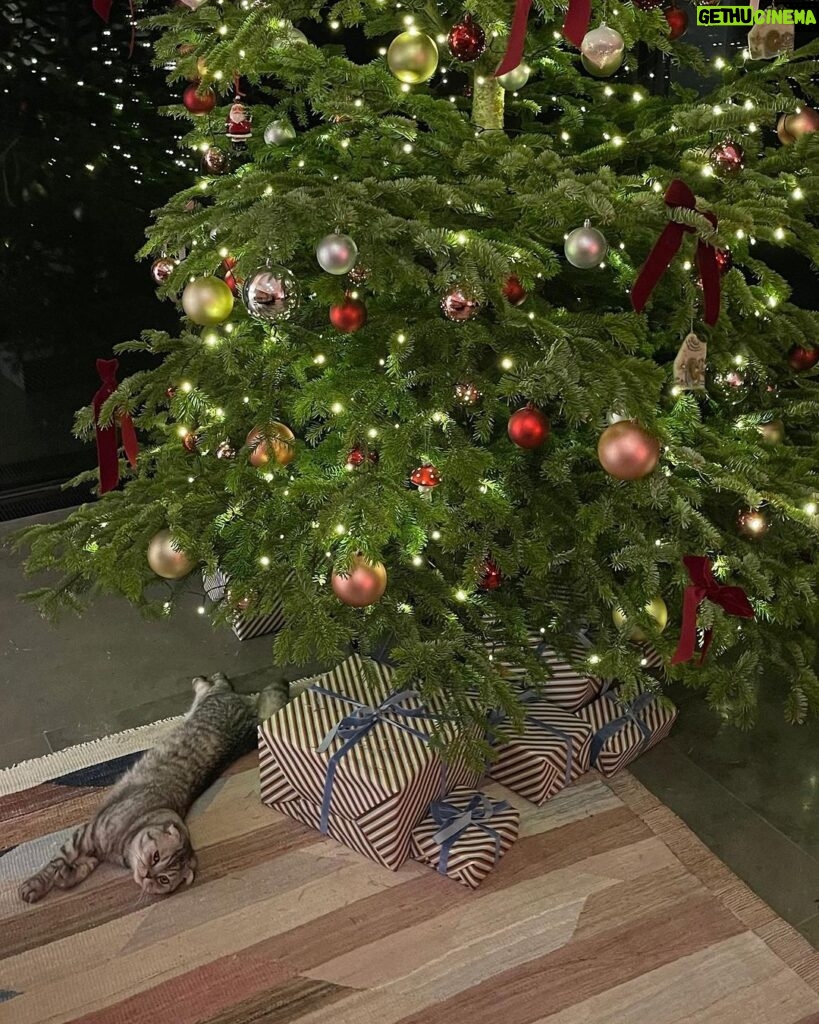 Claudia Schiffer Instagram - December pasts and present ❄️