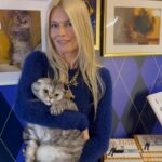 Claudia Schiffer Instagram - Want to meet @chipthecat? On Thursday January 25th myself and Chip will be signing his new book ‘Blue Chip: Confessions of Claudia Schiffer’s Cat’ at Selfridges London. You can get tickets now at the link in bio! @gestalten @theofficialselfridges