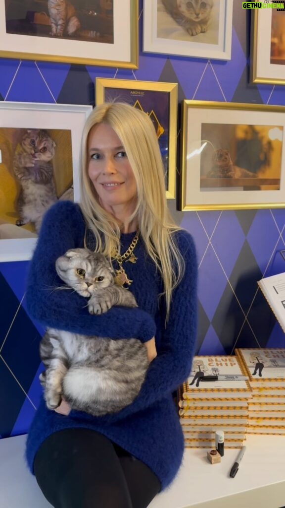 Claudia Schiffer Instagram - Want to meet @chipthecat? On Thursday January 25th myself and Chip will be signing his new book ‘Blue Chip: Confessions of Claudia Schiffer’s Cat’ at Selfridges London. You can get tickets now at the link in bio! @gestalten @theofficialselfridges
