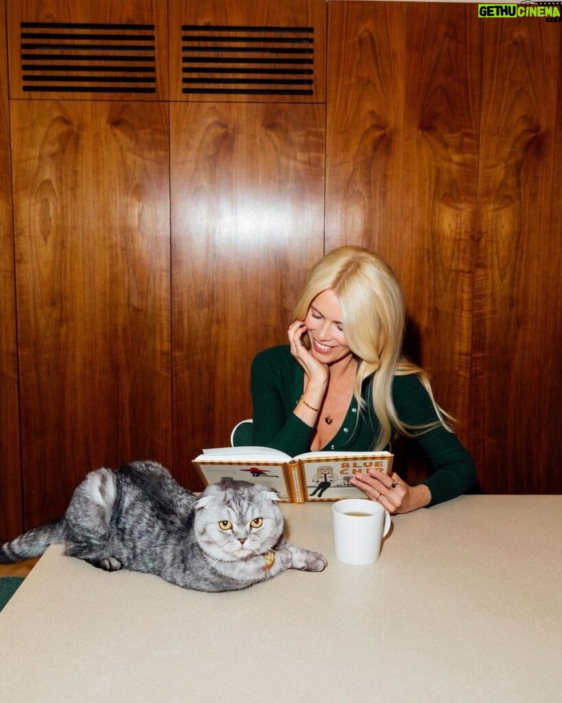 Claudia Schiffer Instagram - It’s not every day your cat writes a book… 😉 In less than a week the world can read @chipthecat’s “Blue Chip: Confessions of Claudia Schiffer’s Cat”! Illustrations by the talented @angelicahicks ♥️
