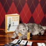 Claudia Schiffer Instagram - The @argyllemovie x @burlingtonsocks edition is @chipthecat approved. Link in bio!