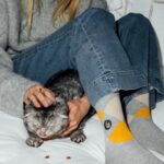 Claudia Schiffer Instagram - A puurfect liaison. Out NOW, the new limited ARGYLLE x Burlington collection, showcasing the breakout ARGYLLE star ‘Alfie’, played by my cat, @Chipthecat. @ArgylleMovie in cinemas everywhere!