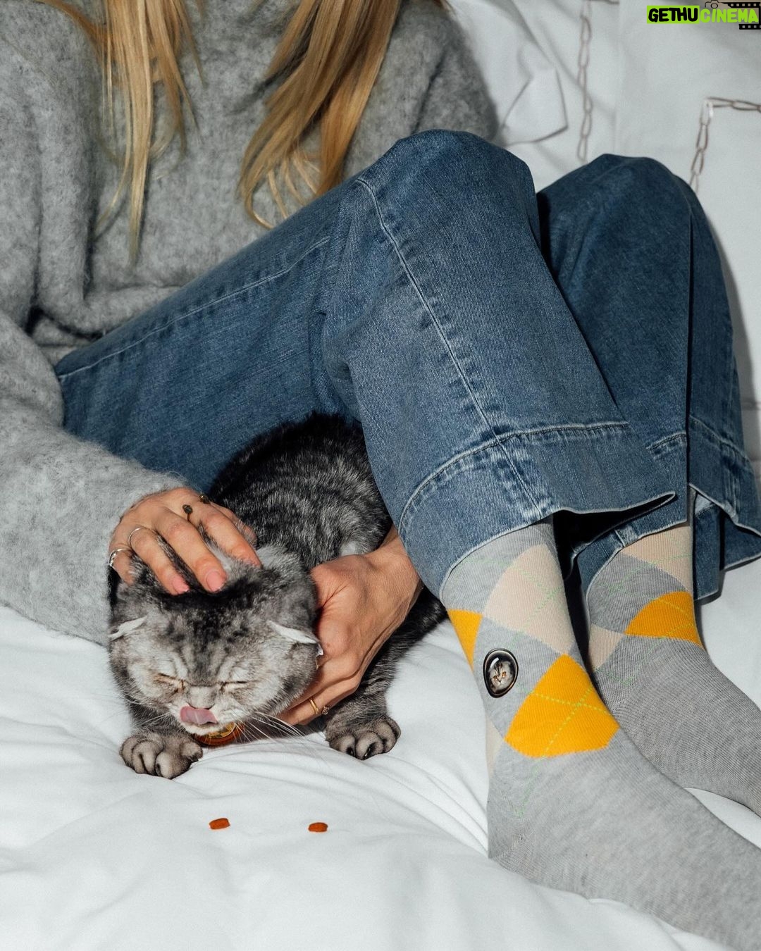 Claudia Schiffer Instagram - A puurfect liaison. Out NOW, the new limited ARGYLLE x Burlington collection, showcasing the breakout ARGYLLE star ‘Alfie’, played by my cat, @Chipthecat. @ArgylleMovie in cinemas everywhere!