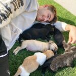 Cody Christian Instagram - Puppy paradise