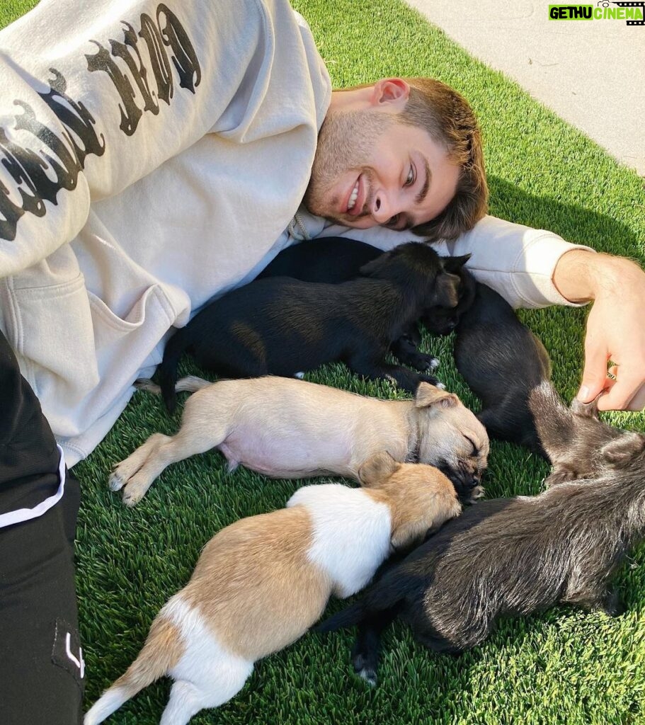 Cody Christian Instagram - Puppy paradise