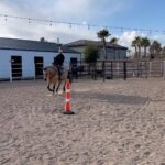 Cody Garbrandt Instagram - Calms the soul 🐎