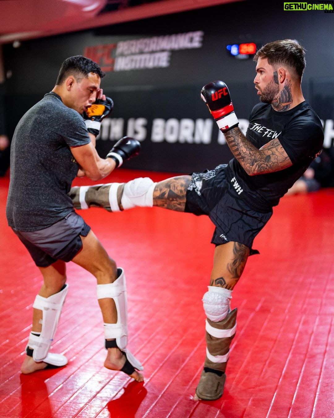 Cody Garbrandt Instagram - @fewwillhunt use code: Nolove dropping a Nolove collaboration this week!! Shoutout to @twilighttimmy always showing up and putting in work. You’ll see this kid in the @ufc really soon!!