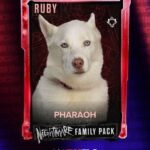 Cody Runnels Instagram - Pharaoh gonna ruff y’all up 🐾 #WWE2K24 #MyFACTION
