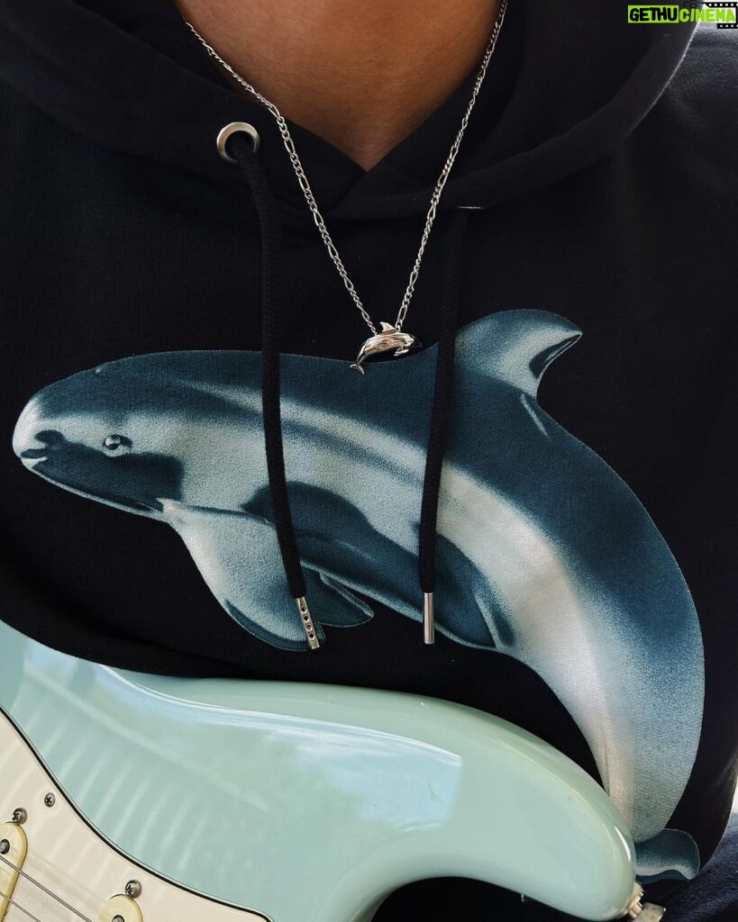 Cody Simpson Instagram - Certified recycled silver sculpted by @jordanaskill to help raise awareness for the vaquita, the world’s most endangered marine mammal. Hoodie by @double_rainbouu. This collab supports @seashepherdsscs’s Operation Milagro campaign aims to protect the critically-endangered vaquita porpoise in the Sea of Cortez. It is estimated there are fewer than ten vaquitas alive. Go to @jordanaskill x @double_rainbouu x @seashepherdsscs