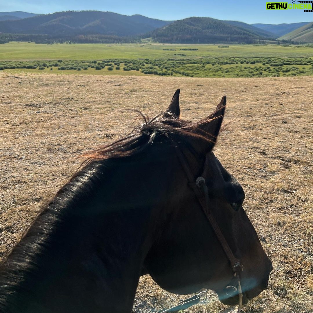 Cole Hauser Instagram - Pushin cows in the Big Hole… just a slice of heaven. @yellowstone YS5 “ No WiFi out here, but I promise you will find a better connection”.