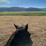 Cole Hauser Instagram - Pushin cows in the Big Hole… just a slice of heaven. @yellowstone YS5 “ No WiFi out here, but I promise you will find a better connection”.