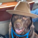 Cole Hauser Instagram - Traveling Cota bear @cynhauser great pic baby!