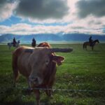 Cole Hauser Instagram - Man and bull… @pbr commercial coming soon.
