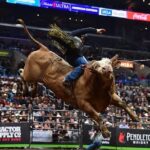 Cole Hauser Instagram - I’m excited to partner up with the PBR to tell stories revealing the humanity of a group of extraordinary bull-riding cowboys. Together, we will pull back the curtain in an uplifting way to celebrate family, loyalty, love, honor, determination and friendship representing the best of Americana. I thank @pbr for helping me bring more awareness to something very dear to my heart and many others @sofwarriorfnd Let’s spread the good word 🇺🇸