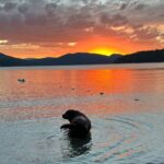 Cole Hauser Instagram - Cota having a evening dip in #montana. A bit of peace and serenity.