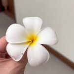 Coleen Garcia-Crawford Instagram - He won’t be outgrowing his love for flowers any time soon. Still obsessed and so passionate about them. 😝 There’s this YT video he started watching almost a year ago, 100+ flowers and their names, and he memorizes so many of them! The first time he showed me this “PLUMERIA”, I had to search to correct him cause I know it as Frangipani. Turns out, he’s right. Oops 😆 My favorite is when we try to calm him down from crying by reciting flower names together. 🤪 Manila, Philippines