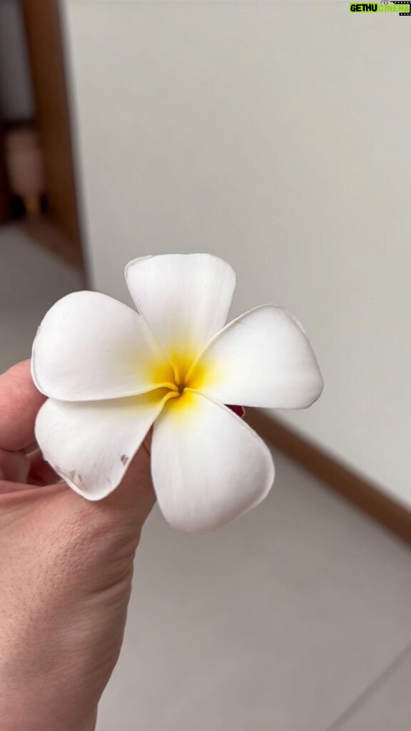 Coleen Garcia-Crawford Instagram - He won’t be outgrowing his love for flowers any time soon. Still obsessed and so passionate about them. 😝 There’s this YT video he started watching almost a year ago, 100+ flowers and their names, and he memorizes so many of them! The first time he showed me this “PLUMERIA”, I had to search to correct him cause I know it as Frangipani. Turns out, he’s right. Oops 😆 My favorite is when we try to calm him down from crying by reciting flower names together. 🤪 Manila, Philippines