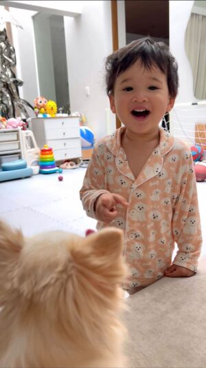 Coleen Garcia-Crawford Instagram - TAMOMO! 🥹

Amari keeps laughing at this video. 😂 He still does that whenever we tell him to call someone. 😝 
@ms.tamomo #summerhuahua