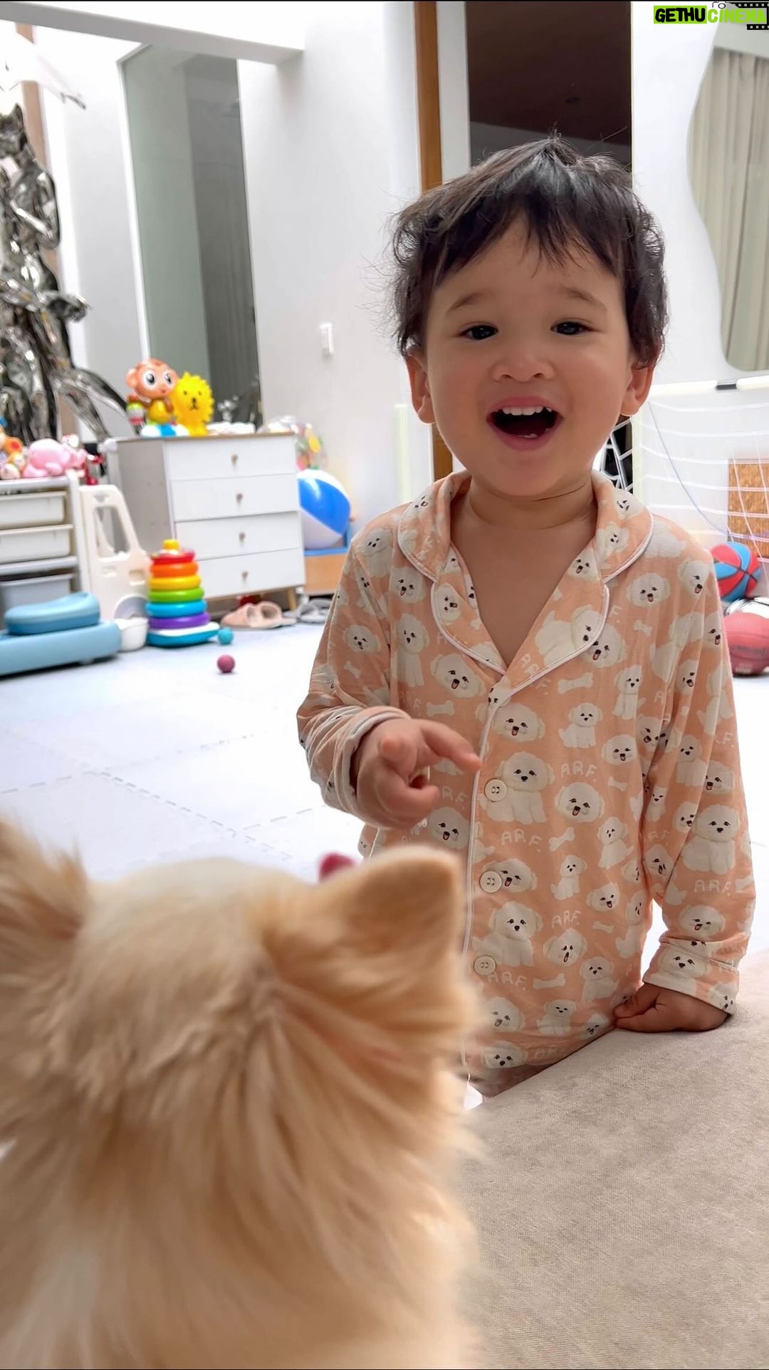 Coleen Garcia-Crawford - 82.4K Likes - TAMOMO! 🥹
Amari keeps laughing at this video. 😂 He still does that whenever we tell him to call someone. 😝
@ms.tamomo #summerhuahua