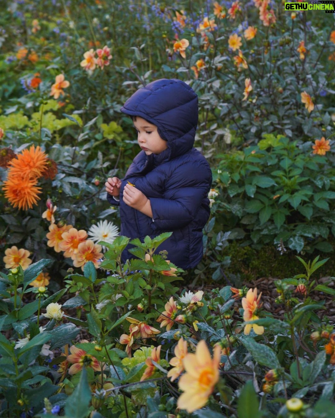 Coleen Garcia-Crawford - 265.5K Likes - My sweet, gentle boy and his fascination with flowers. 🥹 You are growing up so so fast, and I’m so blessed to be here with you for all of it. 🌸