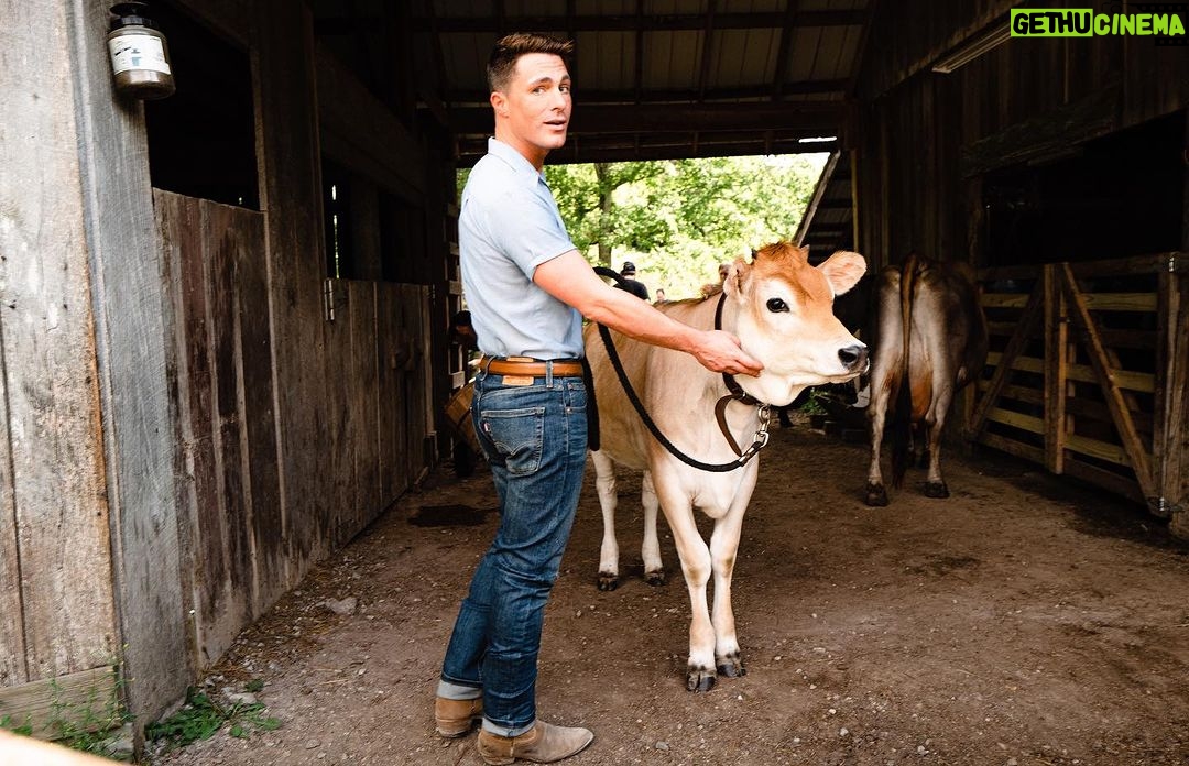 Colton Haynes Instagram - BTS 1 - @timmytychilders “In Your Love” MV. 📸x @emmadelevante . Blown away by how much love y’all have been sending our way 🥹. So grateful to be a part of this groundbreaking video, directed x @bryanschlam & written x @silashouse @jasonkylehoward . ❤️ to my beautiful soul @scullynjames for making this experience something I’ll never forget. I’m not done love bombing @timmytychilders but I’m gonna give it a beat 😂
