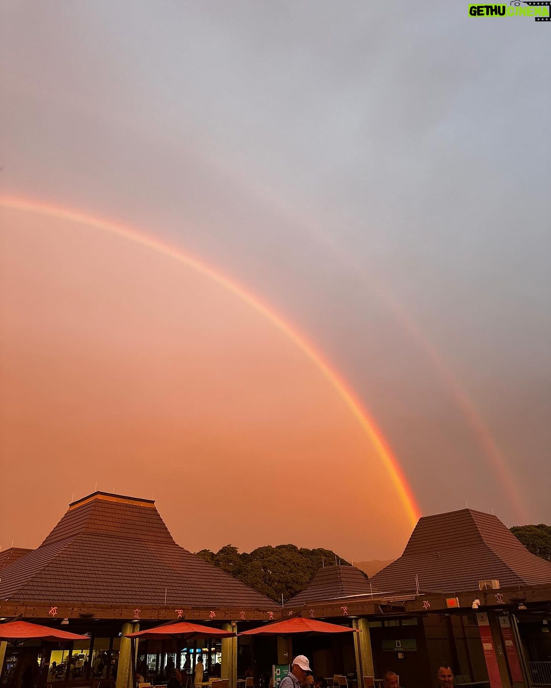 Colton Underwood Instagram - A little Hawaii photo dump on the big island ππ€πΌπΈ @konavillagerosewood