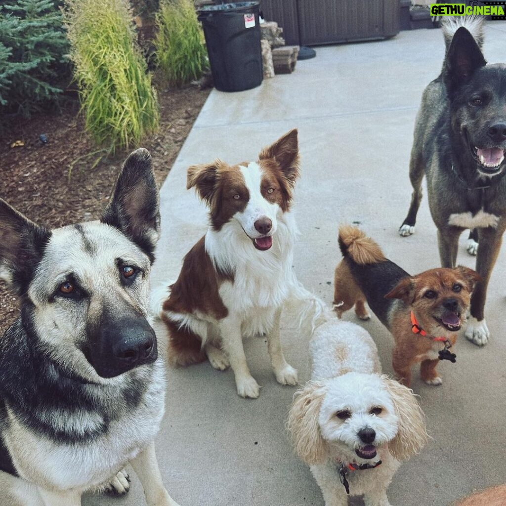 Colton Underwood Instagram - a Sunday dog dad series ♥️
