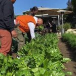 Common Instagram - A Tour of Alma Backyard Farms #WeRiseWell #make1change