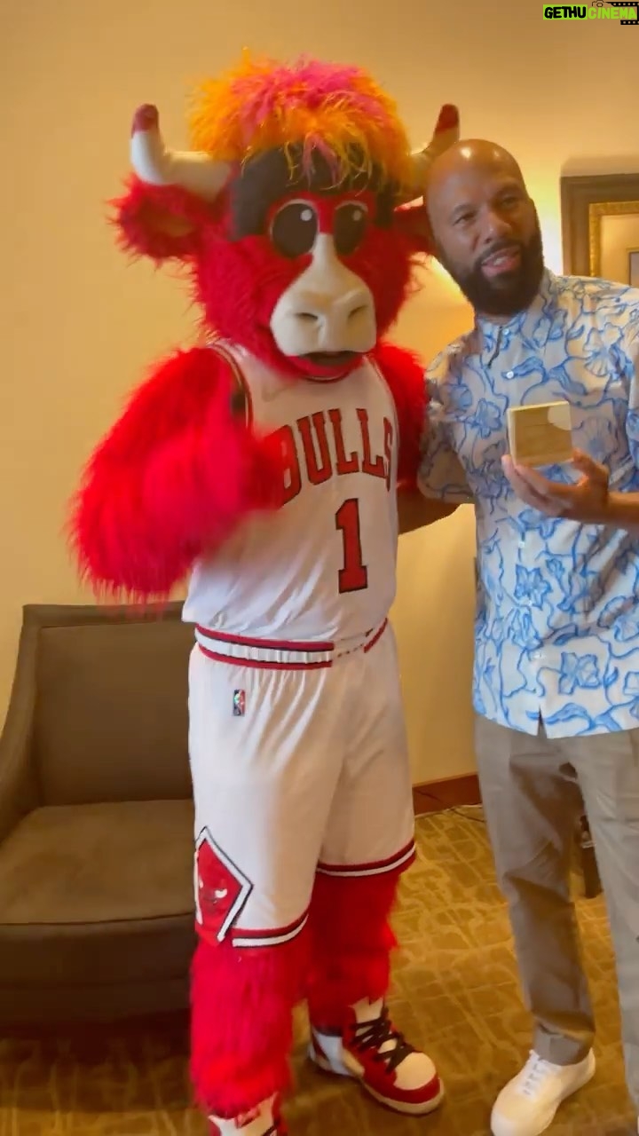Common - 9.1K Likes - Thank you @chicagobulls and @bennythebull for the gift. This means a lot to me! And oh yea, I was serious about that 10 day!
