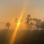Common Instagram - The team saw a sunset and took their shot. Who’s is the freshest? 📸🌅