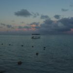 Connor Swindells Instagram - Searching for Dodos Mauritius