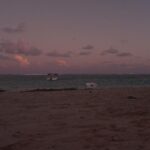 Connor Swindells Instagram - Searching for Dodos Mauritius