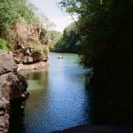 Connor Swindells Instagram - Searching for Dodos Mauritius