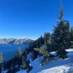 Corey Fogelmanis Instagram - bloomed into blue