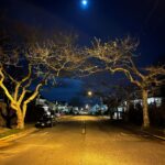 Corey Fogelmanis Instagram - bloomed into blue